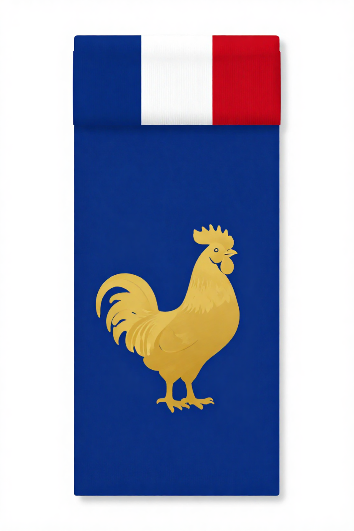 France home sock design